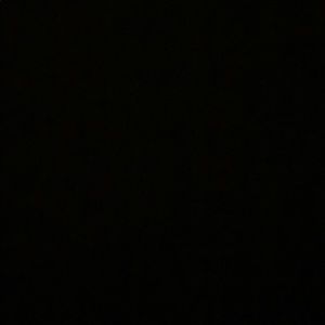 Meet your Posher, Lily